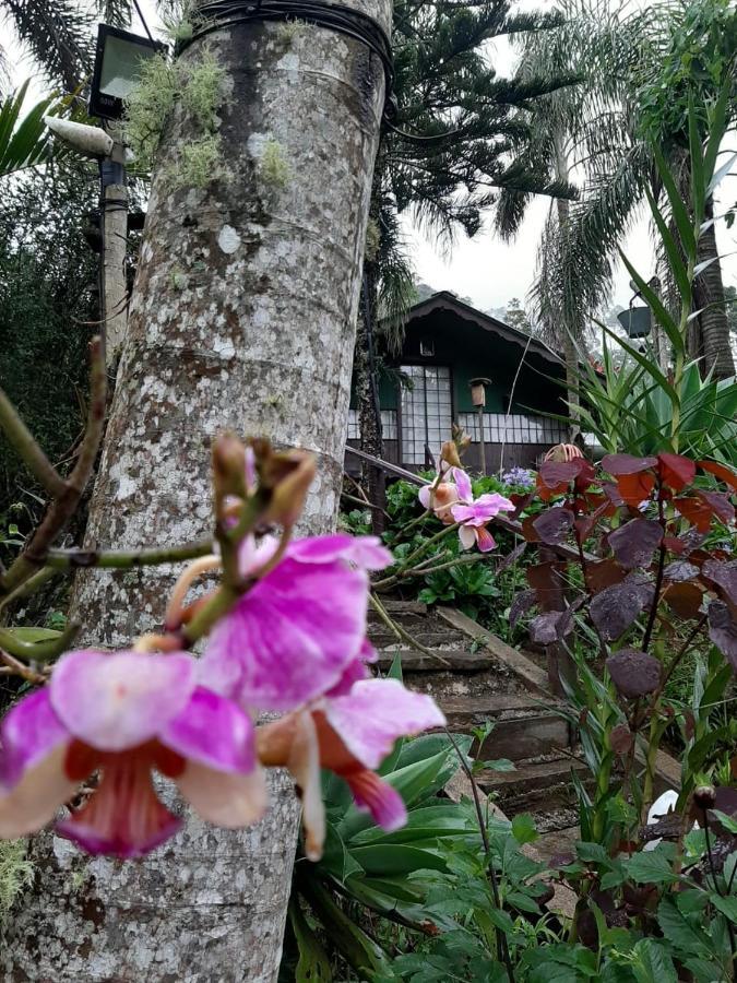 Chalet Chale Pakere Bellavista: Mountain Retreat With Panoramic Valley Views Lumiar