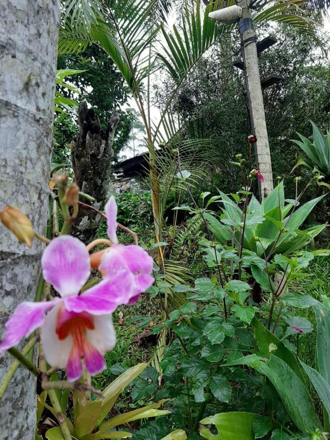 Chale Pakere Bellavista: Mountain Retreat With Panoramic Valley Views * Lumiar